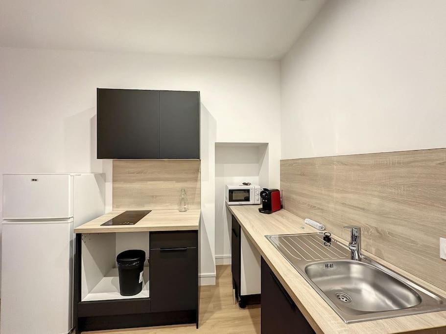 Cosy Appt, Centre De Lyon Bellievre 1 아파트 외부 사진